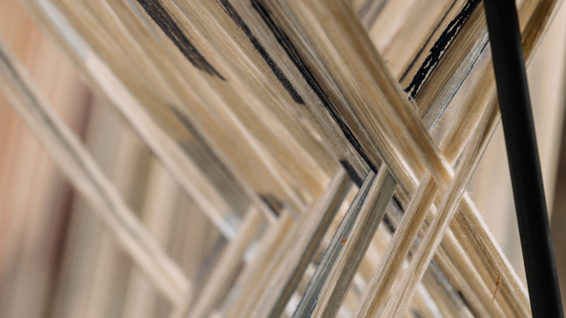 Leonor Serrano Rivas - Arco - Cervezas Alhambra